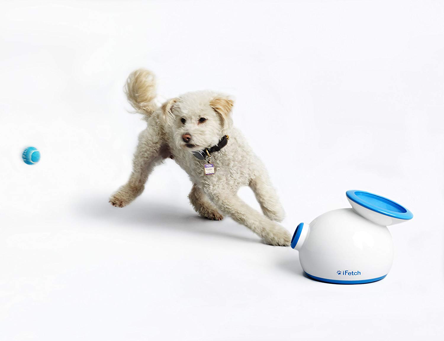 The iFetch Interactive Ball Thrower