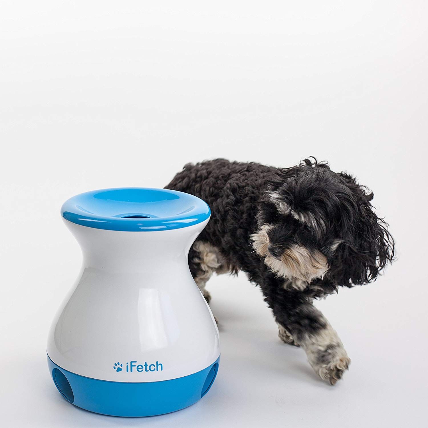 The iFetch Mini Frenzy