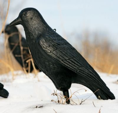 Flambeau Outdoors Hard Body Crow