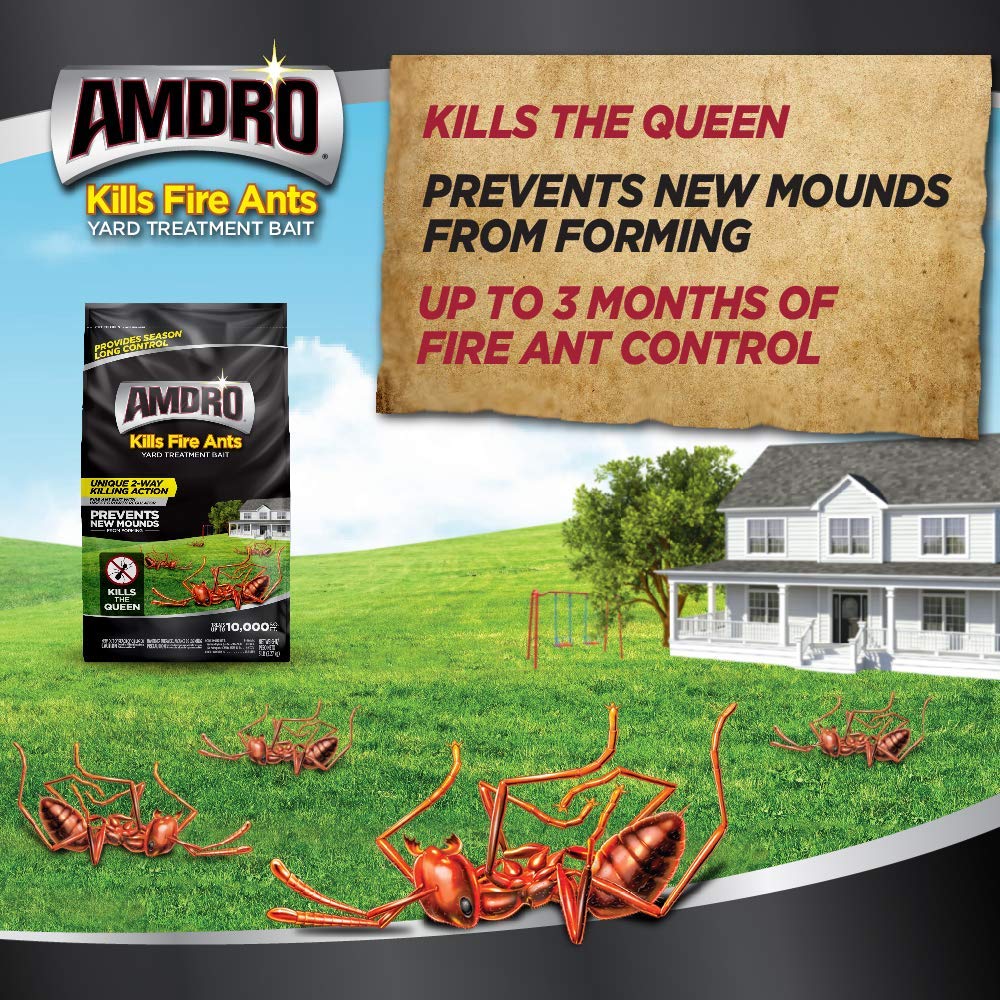 Best Ant Bait 2021 Top ant killer for kitchen and home