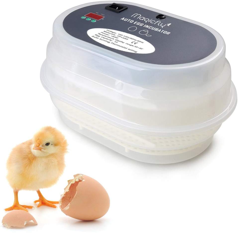 Best Egg Incubators 2022 Top Professional Egg Incubator for the Money
