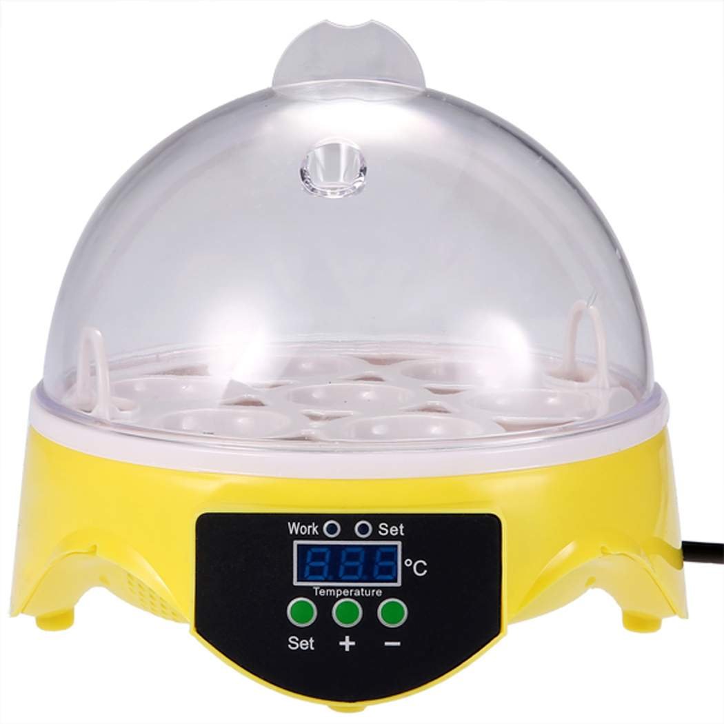 Best Egg Incubators 2022 Top Professional Egg Incubator for the Money
