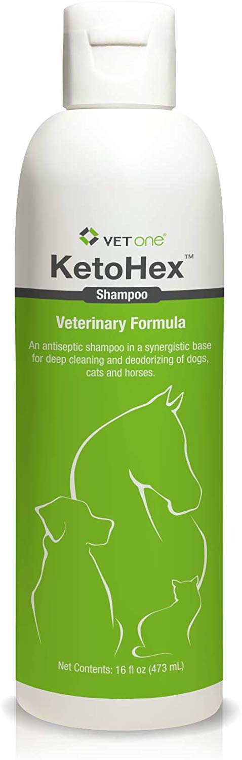 Vetone - KetoHex Antifungal & Antibacterial Veterinary Formulated Shampoo