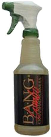 Bass Assassin Bang Fish Attractant Trigger Spray