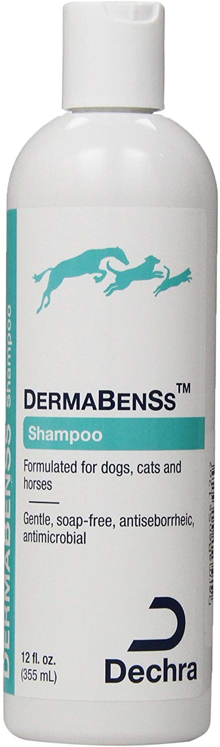 Dechra DermaBenSs Shampoo, 12-Ounce.