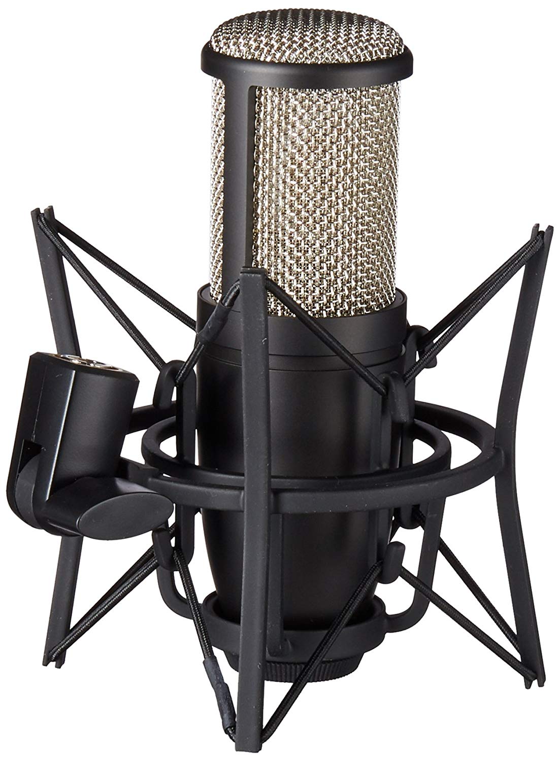 Akg Perception 220 Professional Studio Microphone