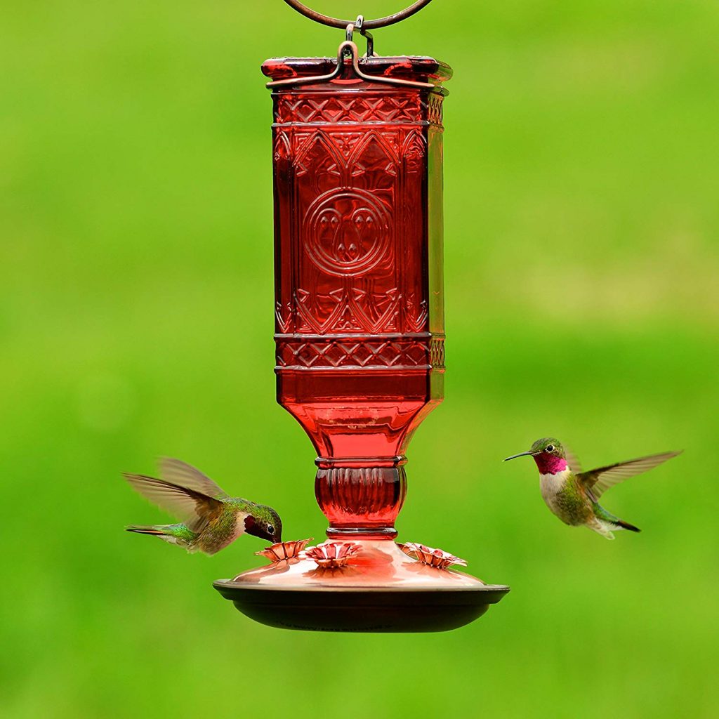 Best Hummingbird Feeder [2023] Top Unique Hummingbird Feeders