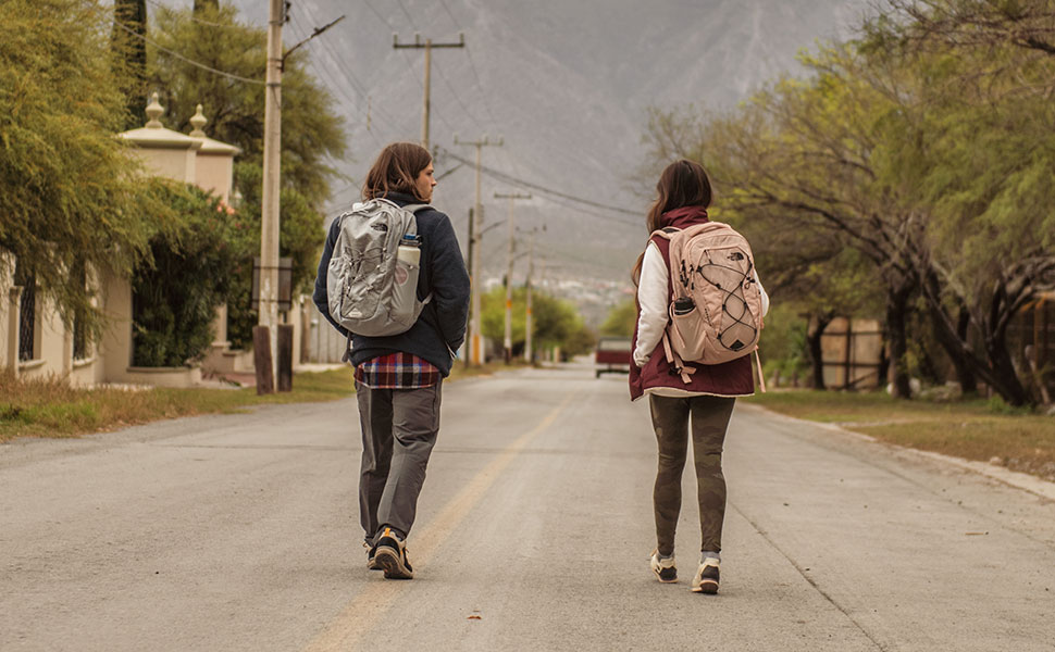 north face ashen purple backpack
