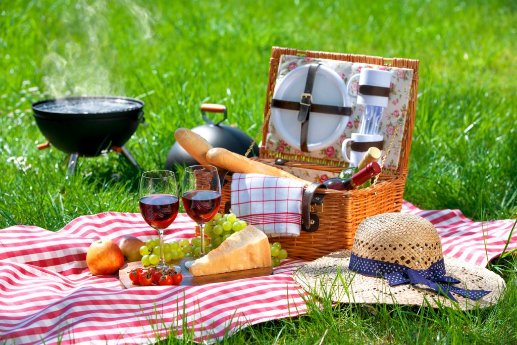 Best Picnic Baskets [2021] Top Picnic Basket Set [Reviews]
