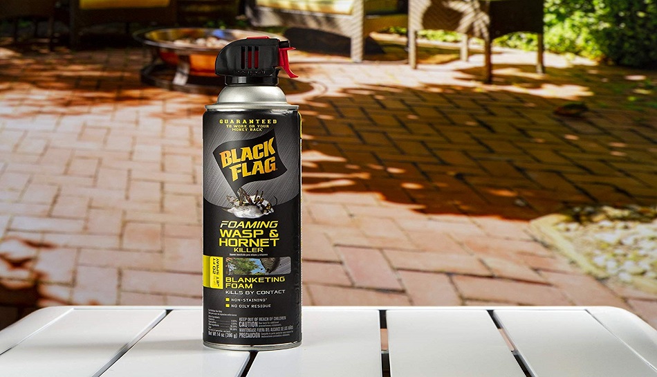 Best Wasp Spray