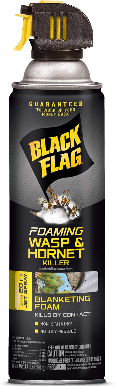 Black Flag Foaming