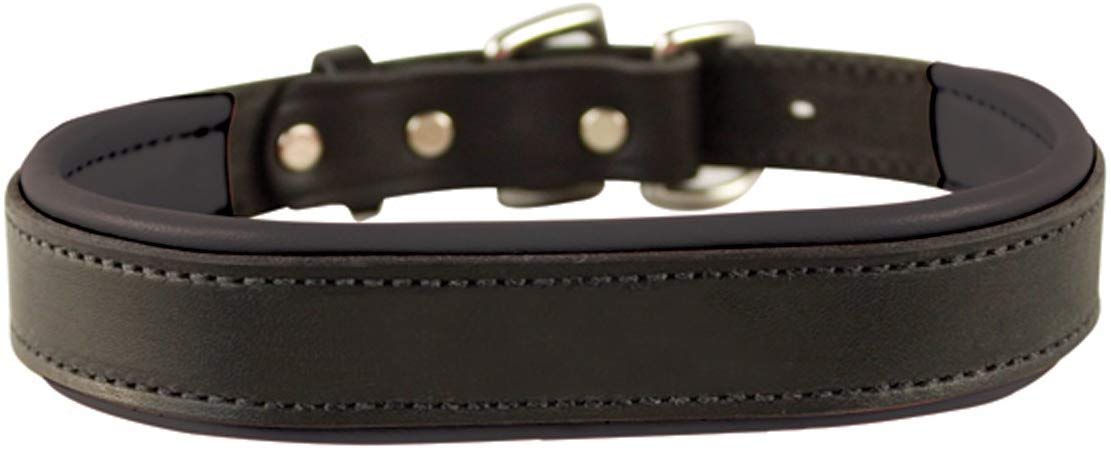 Perri's Padded Leather