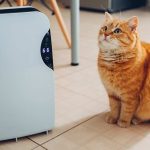 Pet Air Purifier