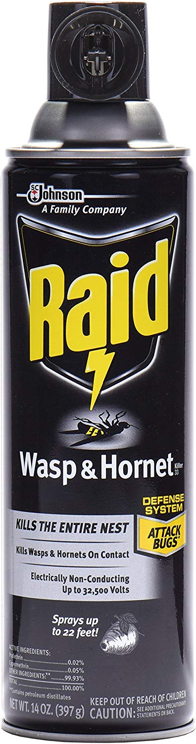 Raid Wasp Spray