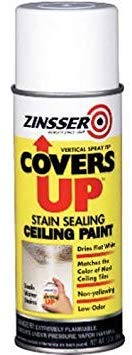 Zinnser Covers Up Stain Sealing Ceiling Paint, White