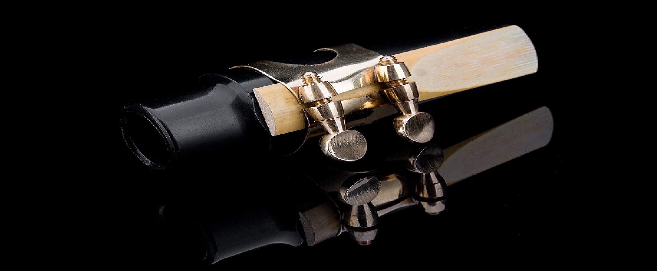 Best Alto Sax Mouthpiece [2021] Top Professional Alto Saxophone Mouthpiece