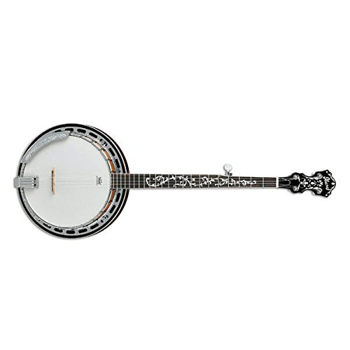Ibanez B200 5-string Banjo Ibanez B200 5-string Banjo