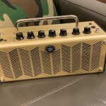 Best Acoustic Guitar Amp