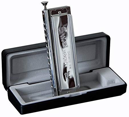 Swan SW1248 12 Hole 48 Tone Thick Blow Mouth Practice Playing Chromatic Harmonica 