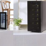 Best 12 Bottle Wine Cooler Fridge