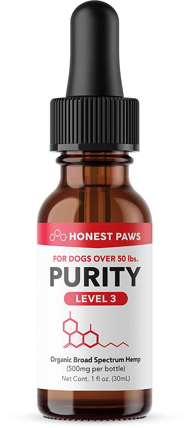 Honest Paws Review