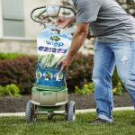 Best Fire Ant Killer