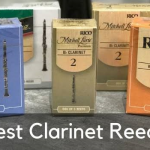 Best Clarinet Reeds