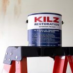 Best Bathroom Ceiling Paint Review