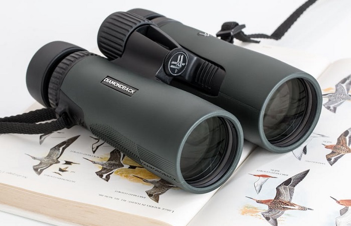 Best Bushnell Binoculars 