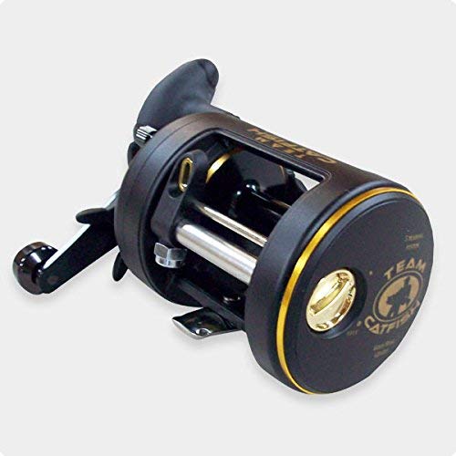 Team Catfish Gold Ring Casting Reel