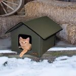 Best Heated Cat House