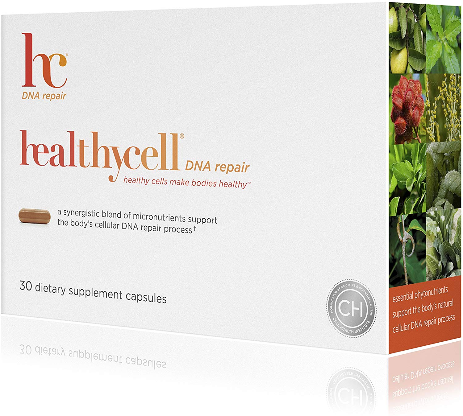 Healthy Cell DNA Repair Healthy Cell DNA Repair