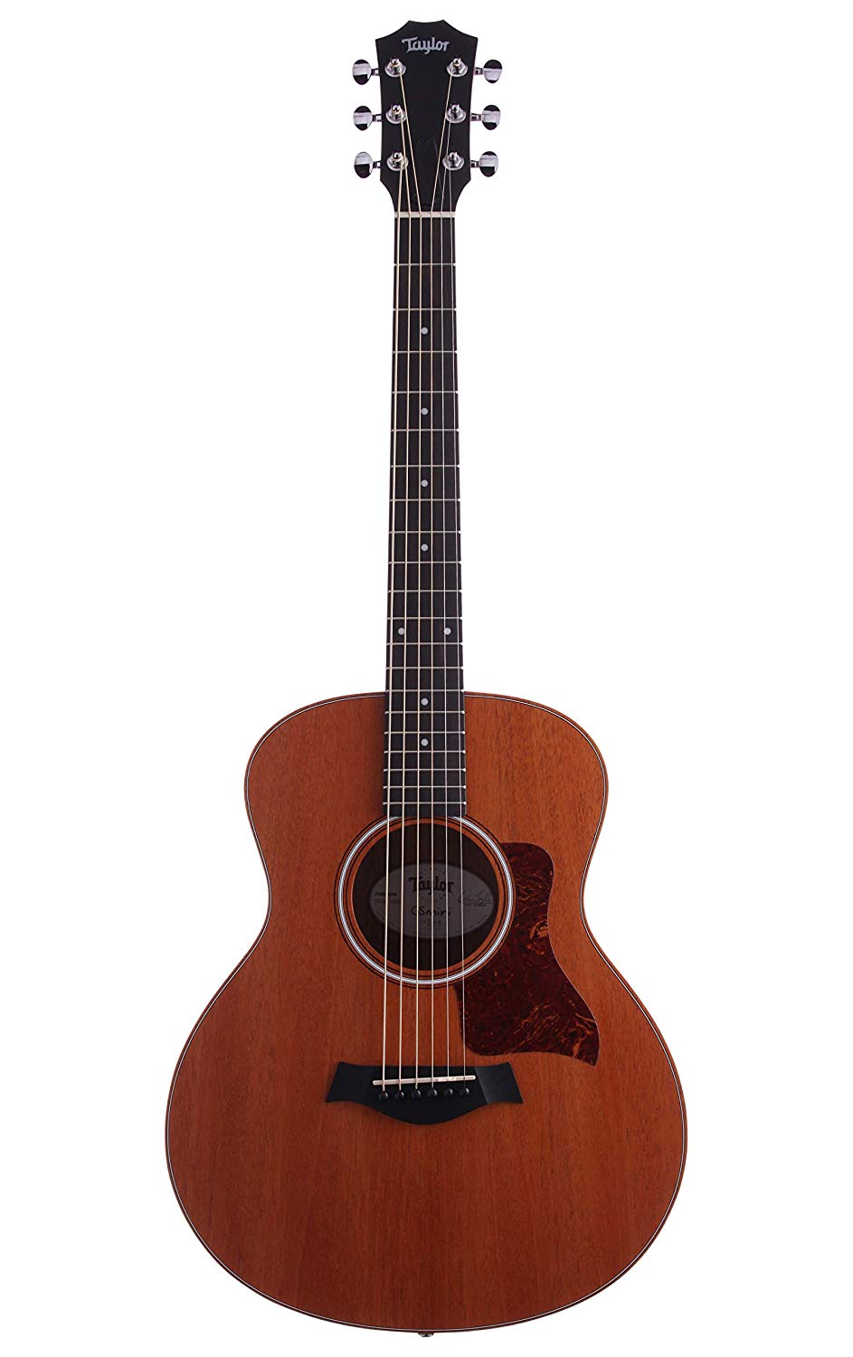 Taylor Gs Mini