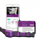 Petpace Review