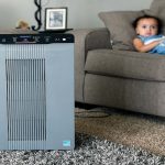 Best Air Purifier With Washable Filter