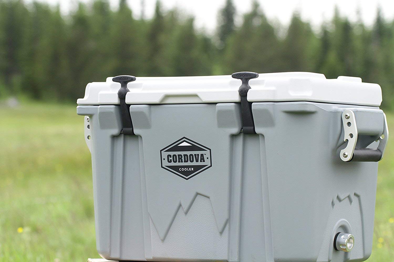 Best Cordova Cooler [2024] Top Cordova Coolers for Sale [Reviews]