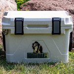 Best Kong Cooler