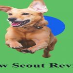 Paw Scout Review