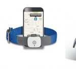 Tagg Pet Tracker Review