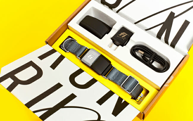 Fi Dog Tracker Review-4 Fi Dog Tracker Review
