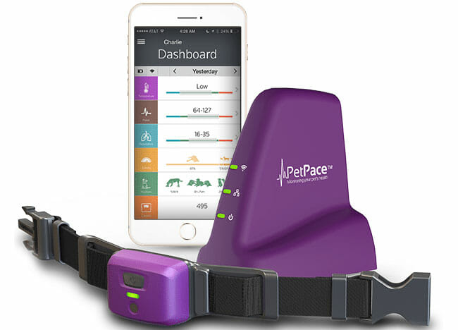 Petpace Review