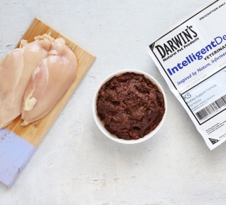 Darwin's Natural Selections Chicken