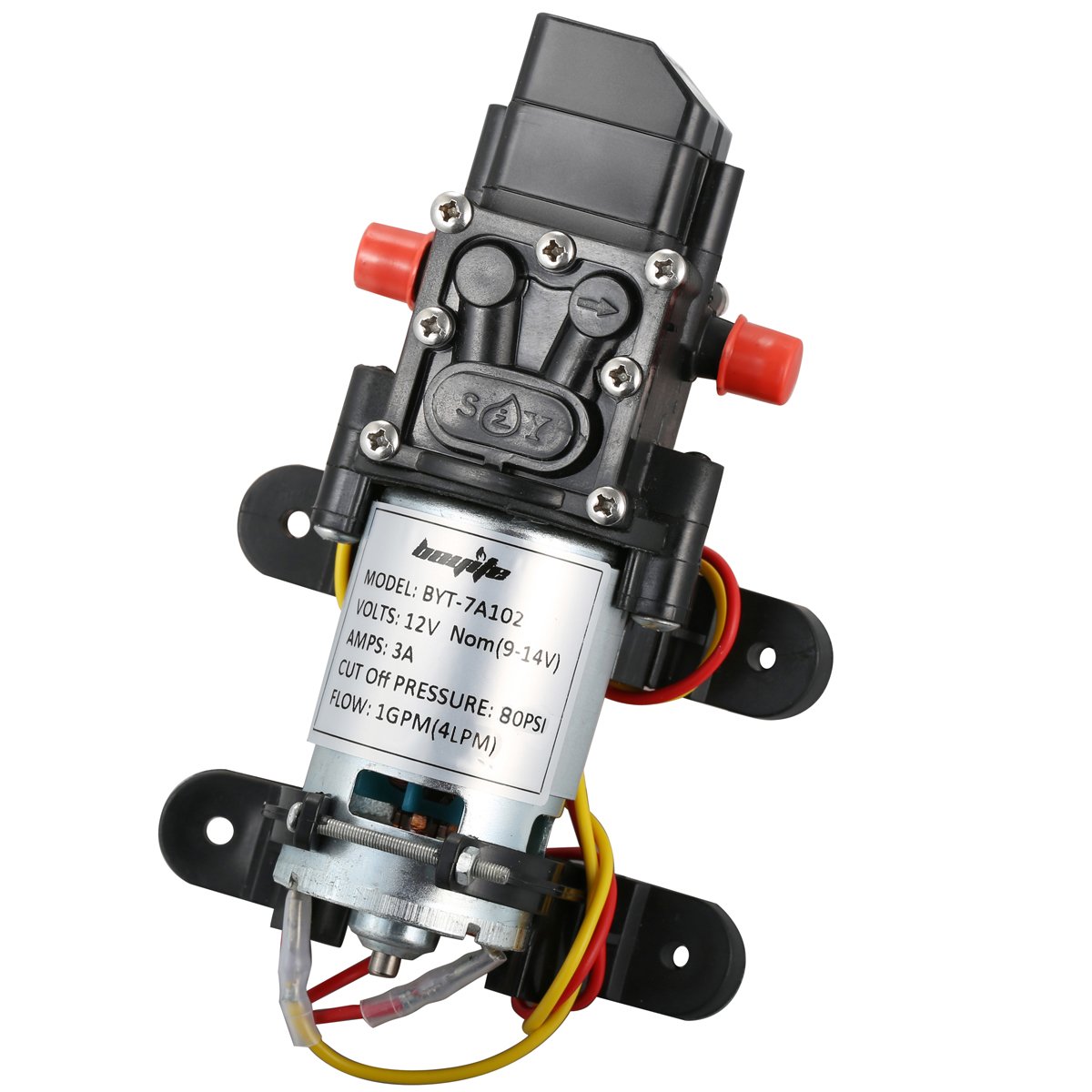 Bayite 12 Dvc Fresh Water Pump