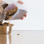 Best Non-prescription Low Phosphorous Cat Food