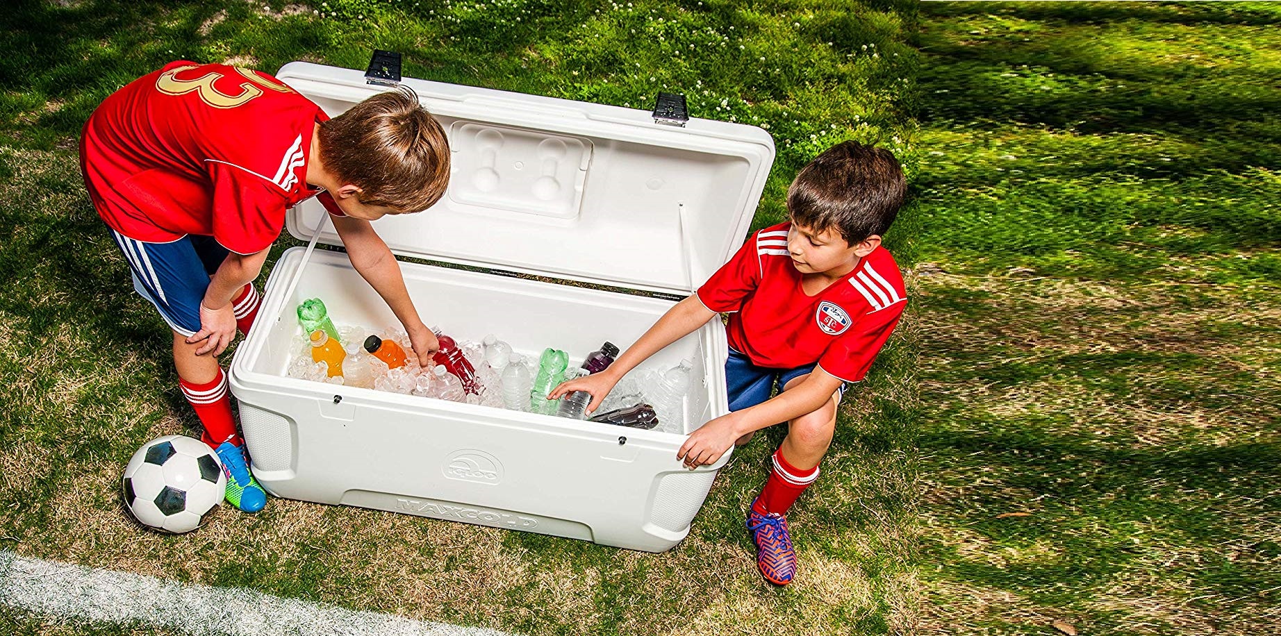 Igloo Maxcold Cooler