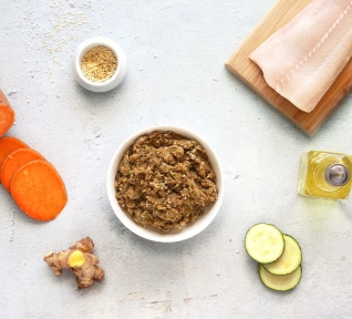 Best Darwin’s Natural Selections Dog Food