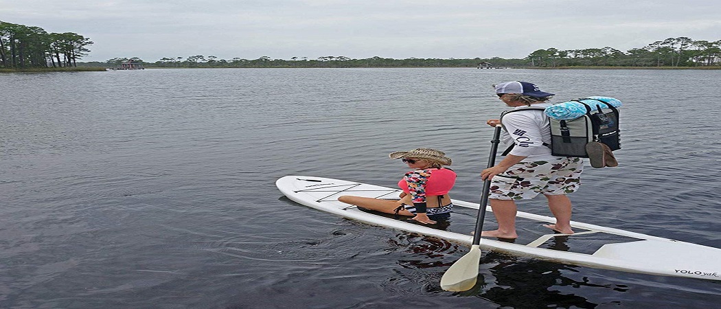 Best Polar Bear Coolers 
