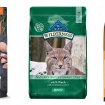 Best Diabetic Cat Food
