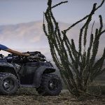 Best Rotomolded Coolers 1