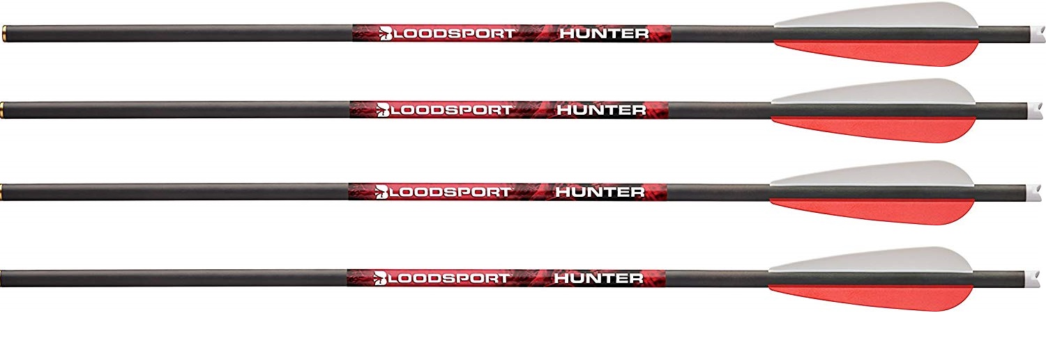 BloodSport 20-Inch Crossbow Bolts (Pack of 6), 0.003-Inch - 8110003 BloodSport 20-Inch Crossbow Bolts (Pack of 6), 0.003-Inch - 8110003